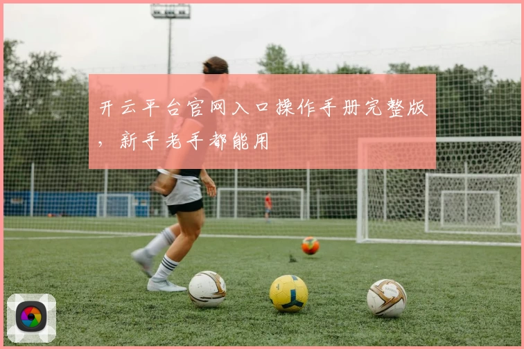 开云平台官网入口操作手册完整版,新手老手都能用