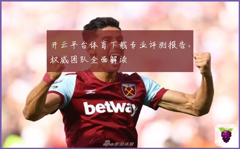 开云平台体育下载专业评测报告，权威团队全面解读