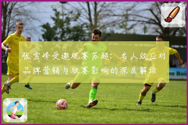 张雪峰受邀观赛苏超:名人效应对品牌营销与联赛影响的深度解读
