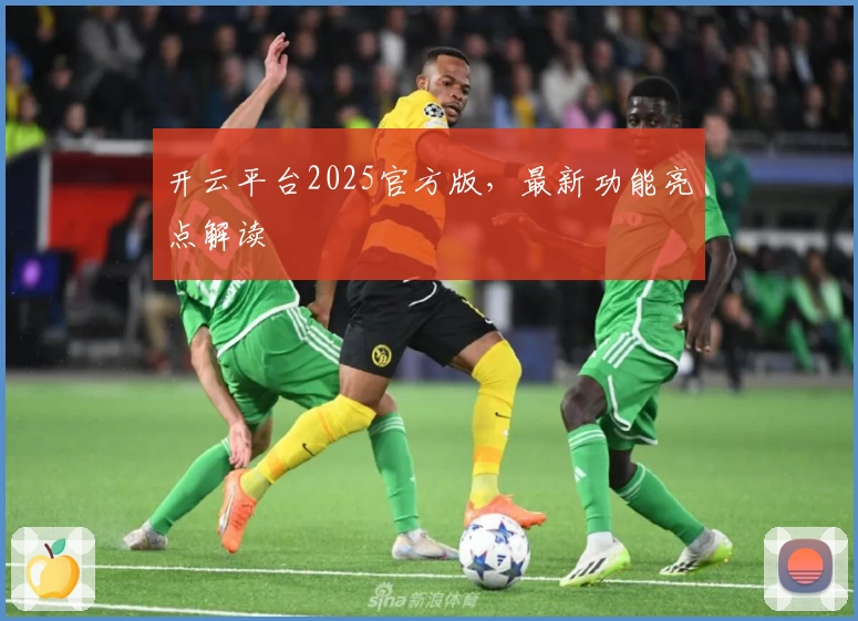 开云平台2025官方版，最新功能亮点解读