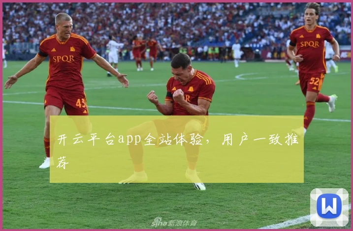 开云平台app全站体验，用户一致推荐